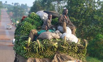 Leben in Uganda